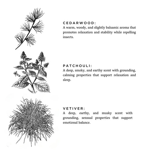 Embers + Leather - Vetiver + Cedar + Patchouli
